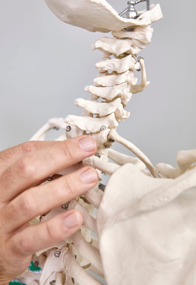 Tratamiento de Fisioterapia y Osteopatia en Marbella